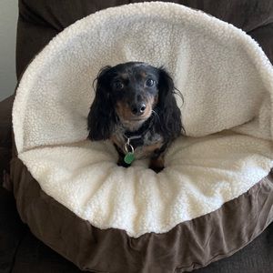 Meet your Posher, Stuart